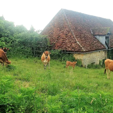 La Maison Bleue Maison d'hôtes *